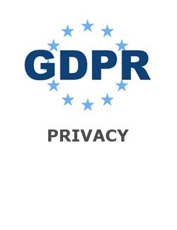 GDPR policy icon